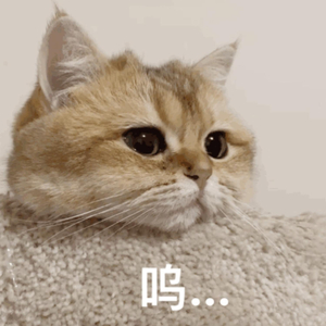 亚洲综合精品色图在线观看
