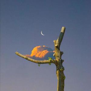 胖熊同性恋性生活视频
