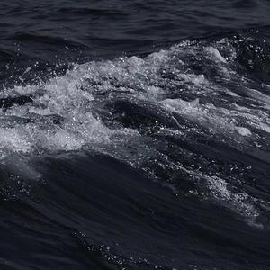 乌克兰18嫩白美女裸交
