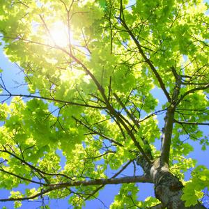 奥特曼❌18禁同人漫画无码
